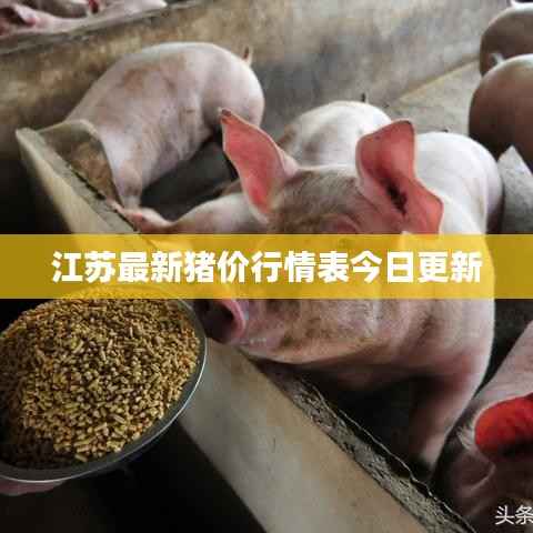 江苏最新猪价行情表今日更新