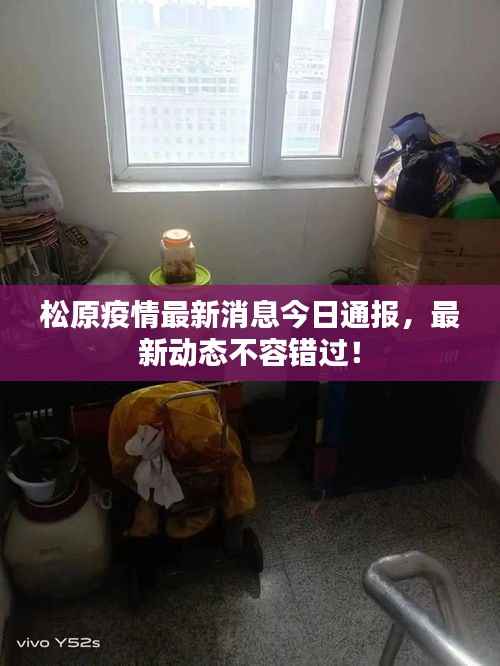 张张屈屈 第4页