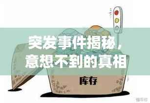突发事件揭秘,意想不到的真相揭秘!