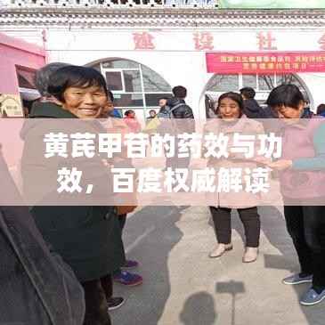 黄芪甲苷的药效与功效，百度权威解读