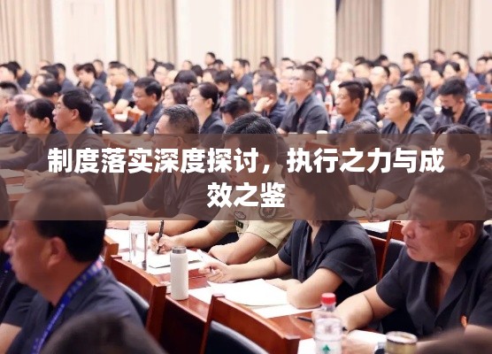 制度落实深度探讨，执行之力与成效之鉴