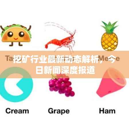挖矿行业最新动态解析，今日新闻深度报道