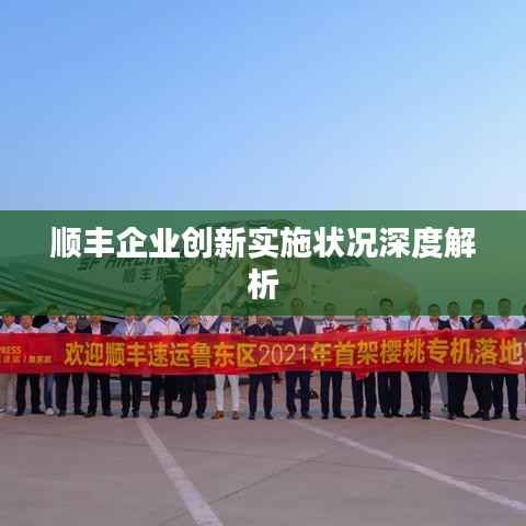 顺丰企业创新实施状况深度解析