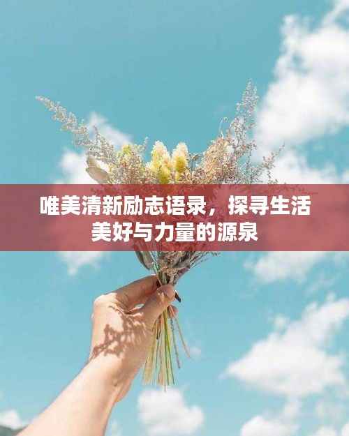 唯美清新励志语录，探寻生活美好与力量的源泉