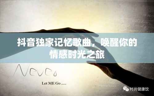 抖音独家记忆歌曲，唤醒你的情感时光之旅