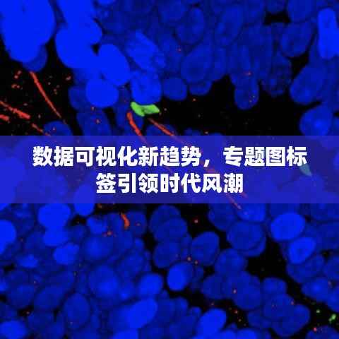 数据可视化新趋势，专题图标签引领时代风潮