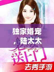 独家婚宠，陆太太的甜蜜宠溺