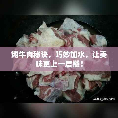 炖牛肉秘诀，巧妙加水，让美味更上一层楼！