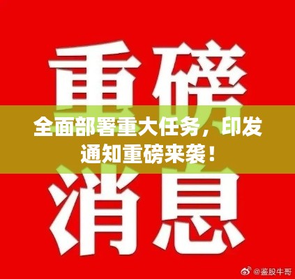 全面部署重大任务,印发通知重磅来袭!