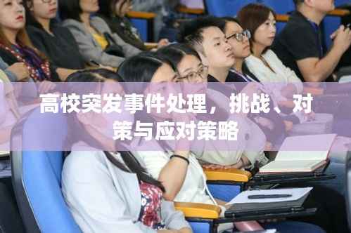 高校突发事件处理，挑战、对策与应对策略