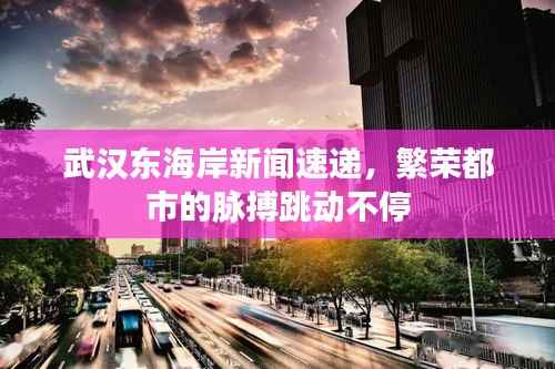武汉东海岸新闻速递，繁荣都市的脉搏跳动不停