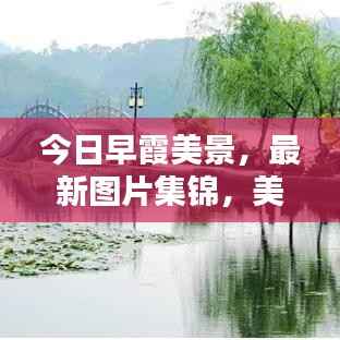 今日早霞美景，最新图片集锦，美不胜收