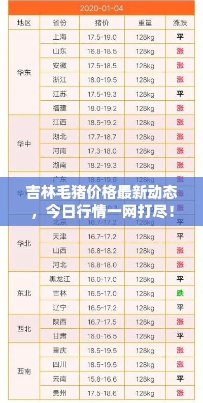 吉林毛猪价格最新动态，今日行情一网打尽！