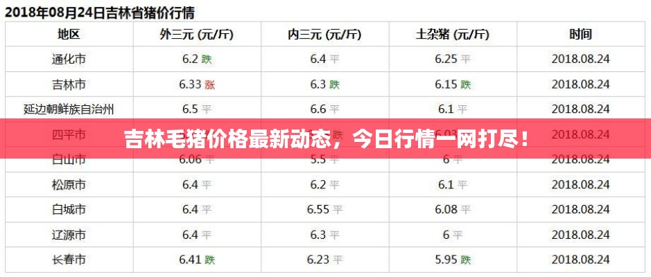 吉林毛猪价格最新动态,今日行情一网打尽!