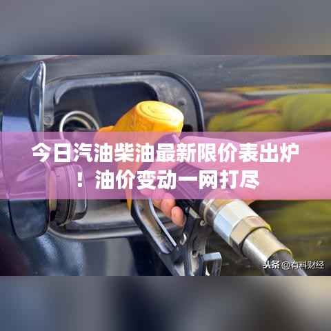 今日汽油柴油最新限价表出炉!油价变动一网打尽