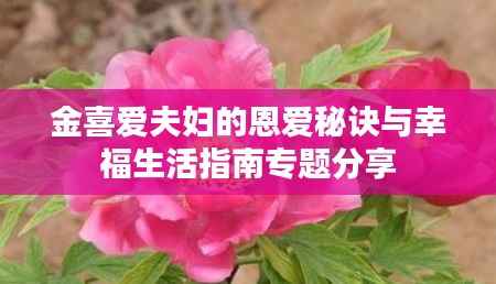 金喜爱夫妇的恩爱秘诀与幸福生活指南专题分享