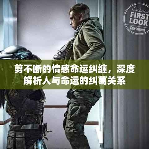 剪不断的情感命运纠缠，深度解析人与命运的纠葛关系