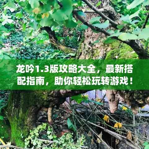 龙吟1.3版攻略大全，最新搭配指南，助你轻松玩转游戏！