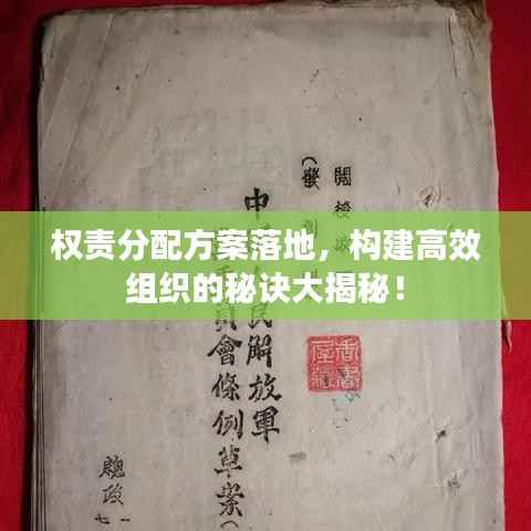 权责分配方案落地，构建高效组织的秘诀大揭秘！