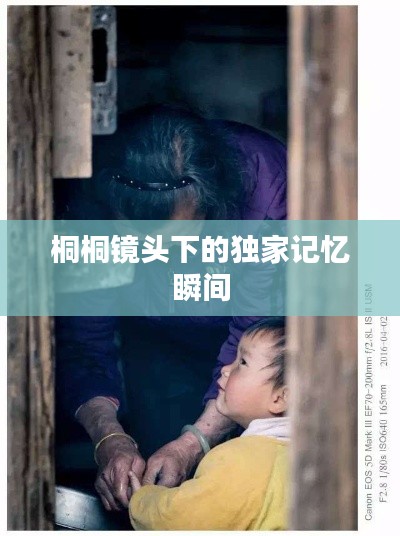 桐桐镜头下的独家记忆瞬间