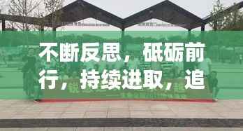 不断反思，砥砺前行，持续进取，追求卓越之路