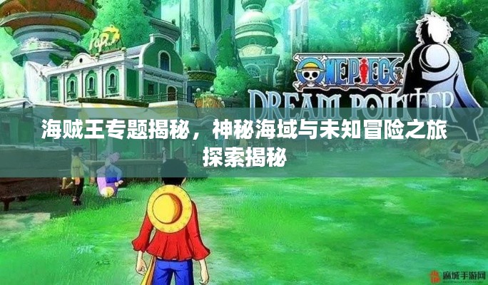 海贼王专题揭秘，神秘海域与未知冒险之旅探索揭秘