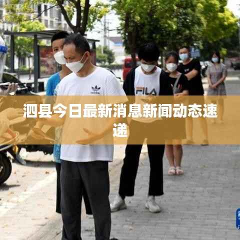 泗县今日最新消息新闻动态速递