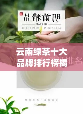 云南绿茶十大品牌排行榜揭晓,品质卓越引人瞩目