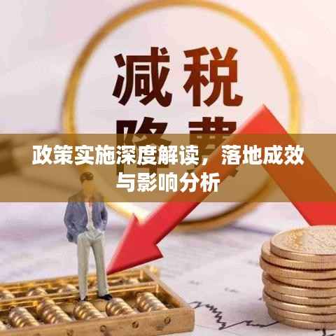 政策实施深度解读，落地成效与影响分析