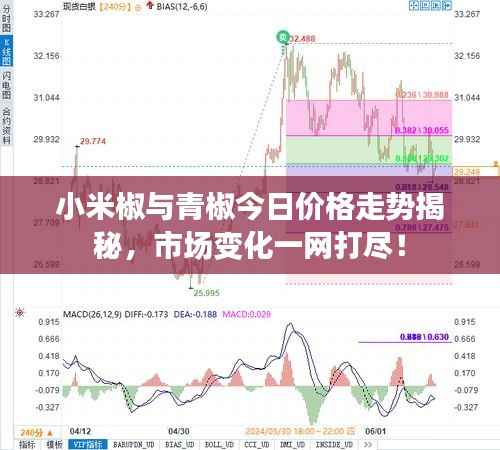 小米椒与青椒今日价格走势揭秘，市场变化一网打尽！