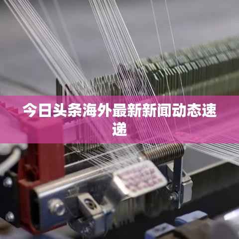 今日头条海外最新新闻动态速递