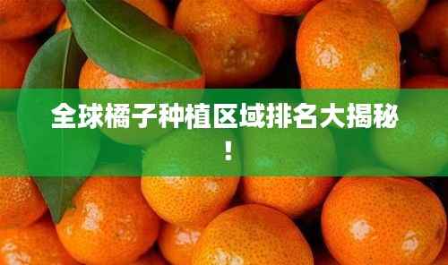 全球橘子种植区域排名大揭秘!