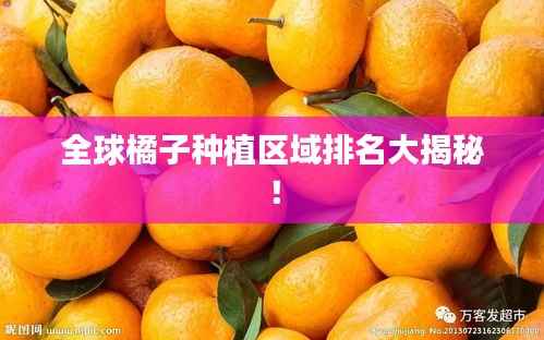 全球橘子种植区域排名大揭秘!