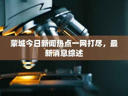 蒙城今日新闻热点一网打尽，最新消息综述