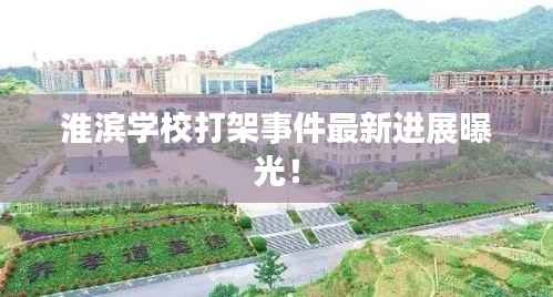 淮滨学校打架事件最新进展曝光！