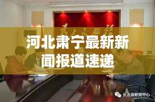 河北肃宁最新新闻报道速递