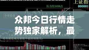 众邦今日行情走势独家解析，最新消息一览