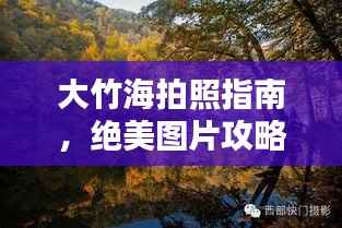 大竹海拍照指南，绝美图片攻略与最新美图分享