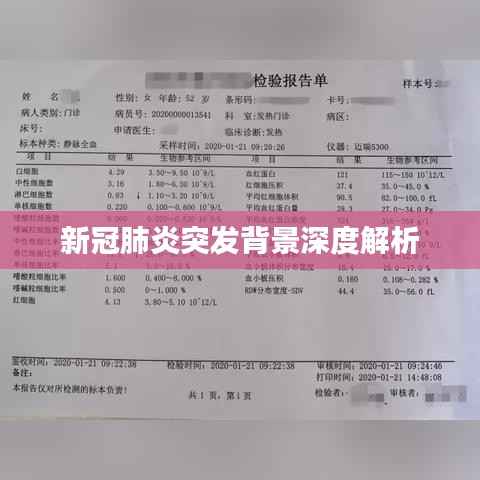 新冠肺炎突发背景深度解析