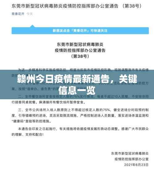 赣州今日疫情最新通告，关键信息一览