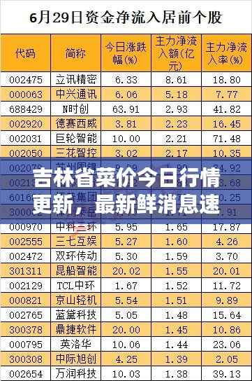 吉林省菜价今日行情更新,最新鲜消息速递