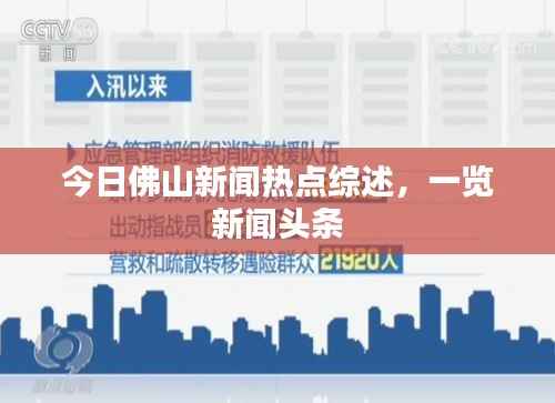 今日佛山新闻热点综述，一览新闻头条