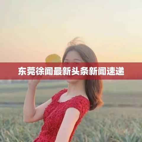 东莞徐闻最新头条新闻速递