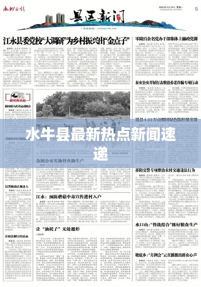 水牛县最新热点新闻速递