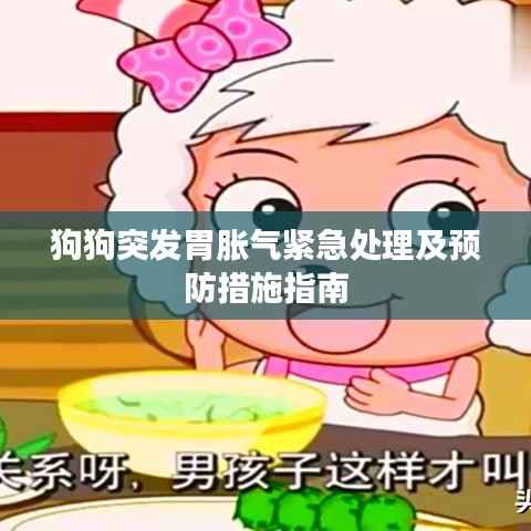 狗狗突发胃胀气紧急处理及预防措施指南