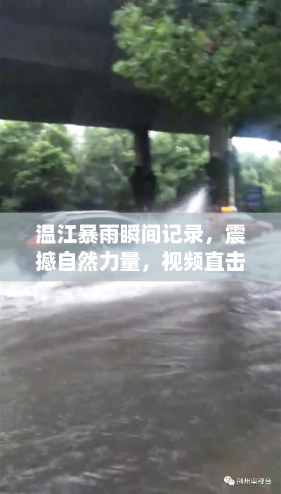 温江暴雨瞬间记录，震撼自然力量，视频直击！
