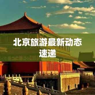 蛙鸣鼓吹 第4页