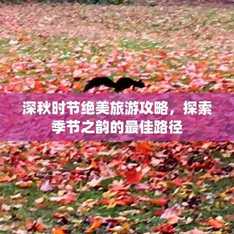 深秋时节绝美旅游攻略，探索季节之韵的最佳路径