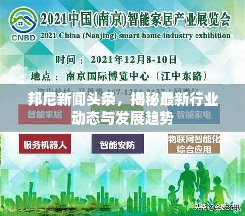 邦尼新闻头条，揭秘最新行业动态与发展趋势