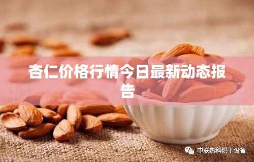 杏仁价格行情今日最新动态报告